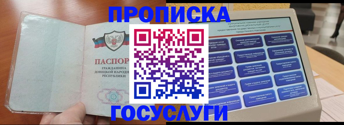 временная регистрация поиск в Палласовке